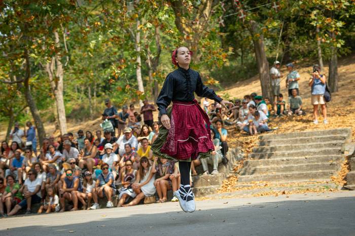 San Rokeko zelaiak bilakatu  40 1755350504378