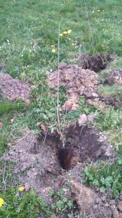 Elkarrekin aritu dira haur e 2 1489961245733