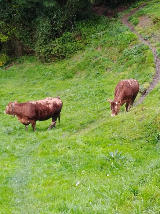 Apirilaren 22an Deba eta Zum 5 1523285709215