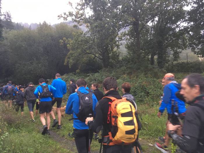 Positiboko baloratu dute Oko 11 1507154069559