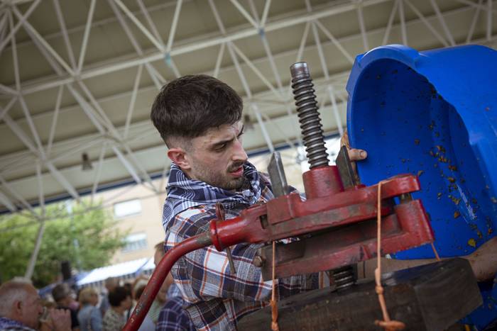 Sagarraren tradizioa plazara 14 1759588494231