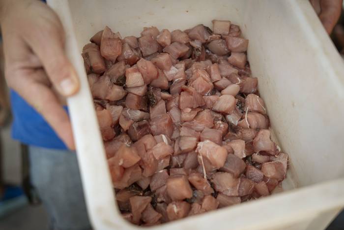 Marmitako txapelketarekin eg 21 1754848443125