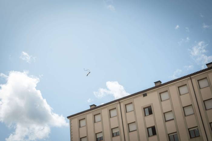 Abarka jaurtiketa, punk doin 13 1756410600540