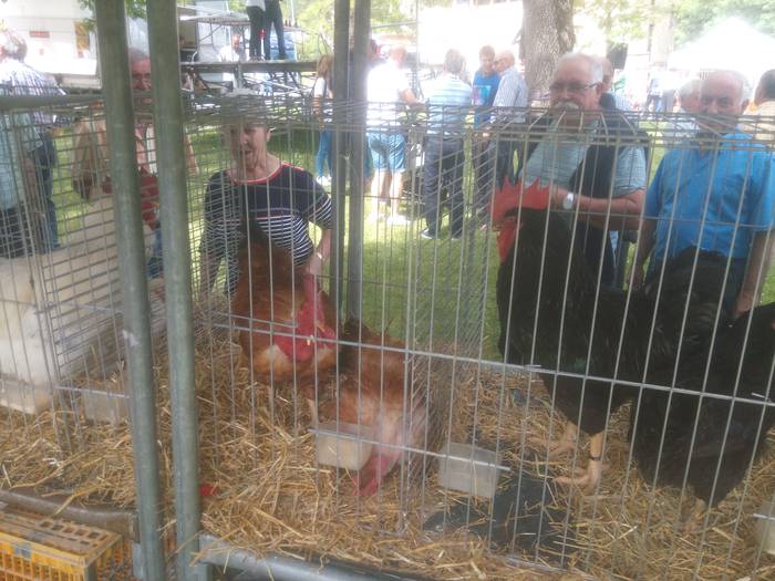 San Isidro Azokak jende ugar 34 1494852273396