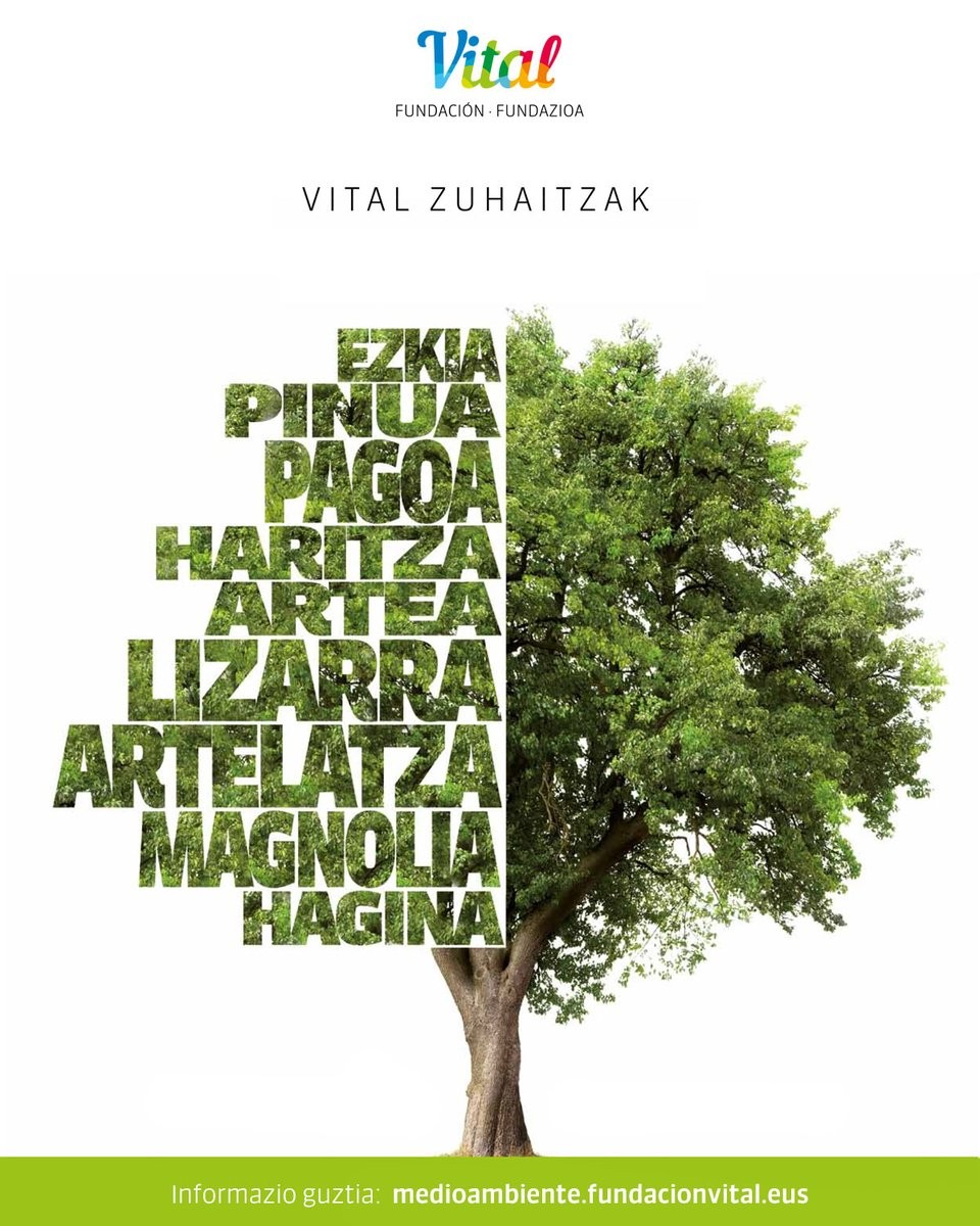Vital Fundazioaren “Vital Zuhaitzak” programa Laudiora itzuliko da