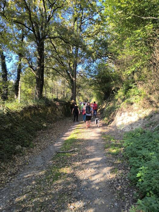 Adin guztietako mendizaleek  39 1760277211787