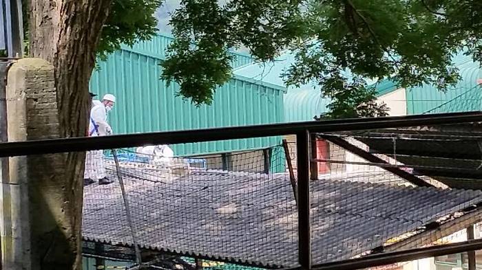 [KOMUNITATEA] Amiantoa Latio 7 1500981026511