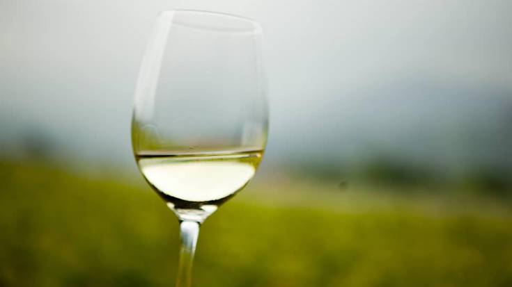 Aiarako Txakolinak International Wine Guide 2012 sariak jaso ditu