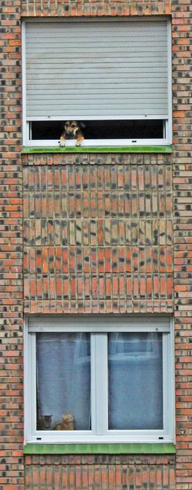 Larrazabal auzunean komunita 9 1588419199164