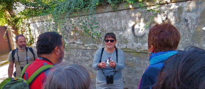 Hegaztiak ezagutzeko txangoa 16 1508074306428