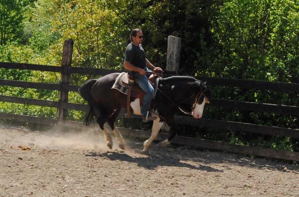 Aitor Aspiazu aiararrak Espainiako "Reined Cow Horse" txapelketa irabazi du western diziplinan