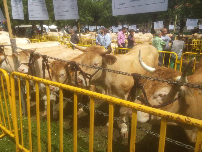 San Isidro Azokak jende ugar 40 1494852464044