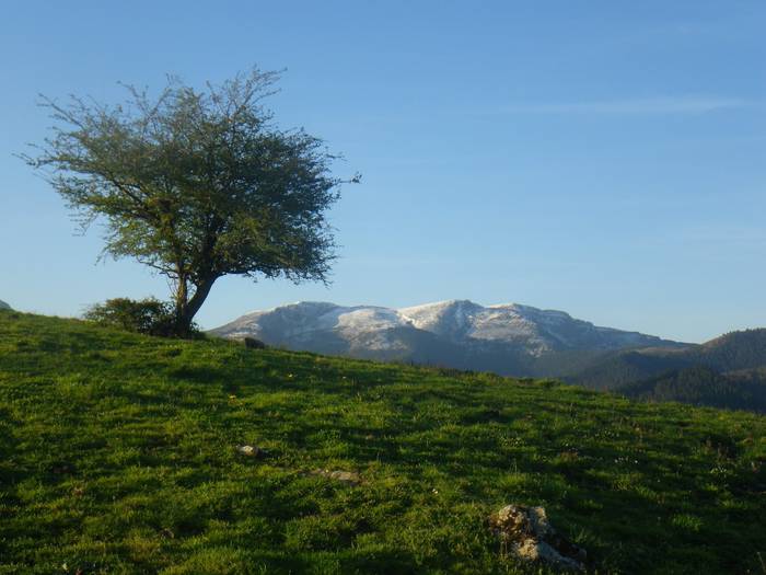 Agur esan baino arinago... 10 1523298217396