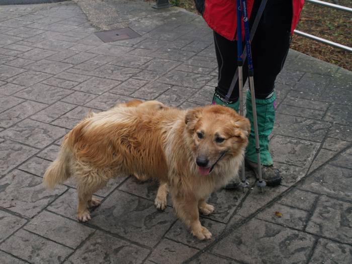 Eguraldi petralak ez zuen ik 3 1513166319076