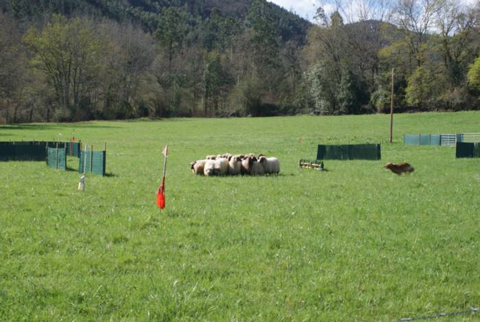 Baserri azoka ospatu dute Ok 25 1679904110306