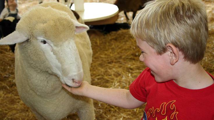 Zelako harremana nahi dugu Aiaraldean gizaki ez diren animaliekin?