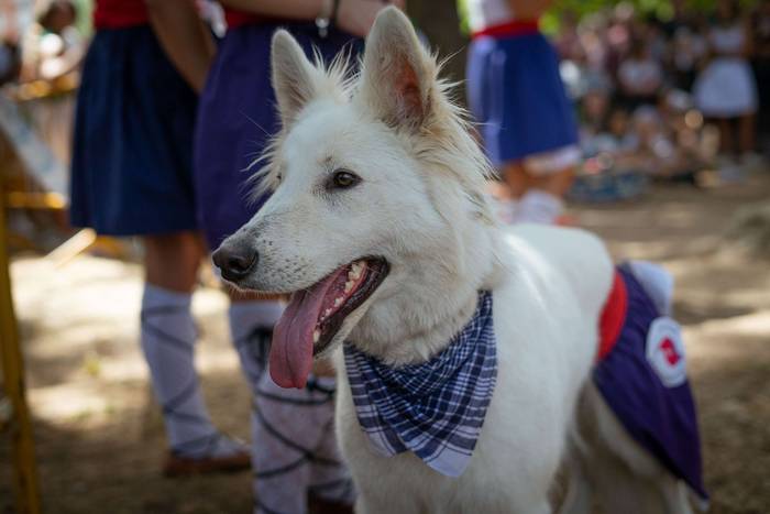 Amurrioko Kuadrillek ate jok 39 1755001114839