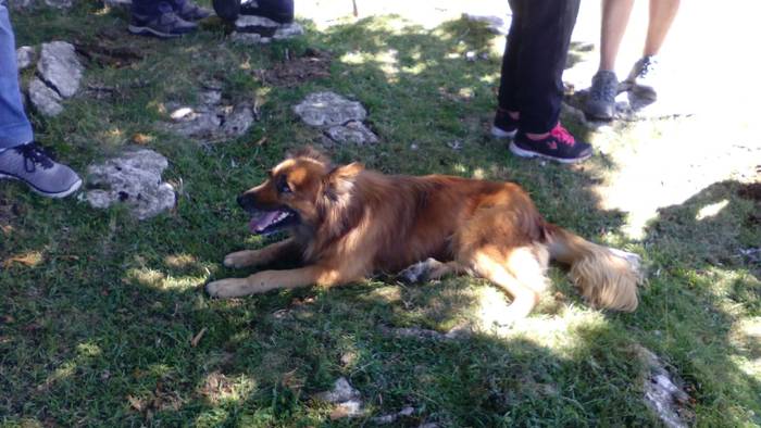 Artzainak izan ziren nagusi  54 1535893479760