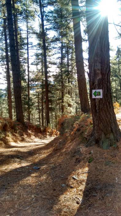 Matxinkorta aurkeztu dute, A 3 1485262673785