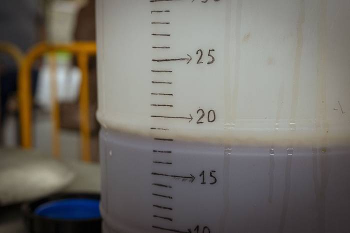 Sagarraren tradizioa plazara 35 1759588546859