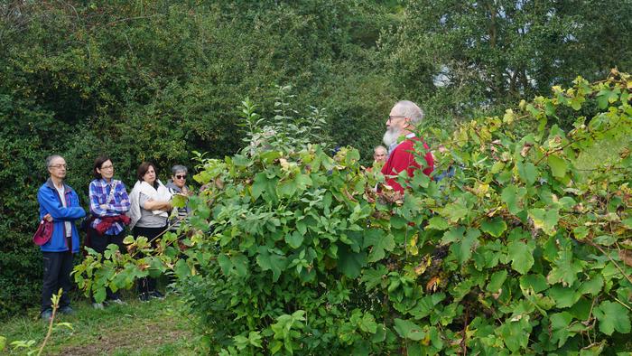 Txakolina Urduñan 7 1759234573854