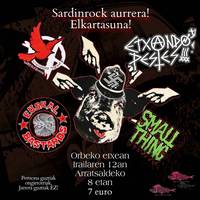 Sardinrock elkartasun jaialdia