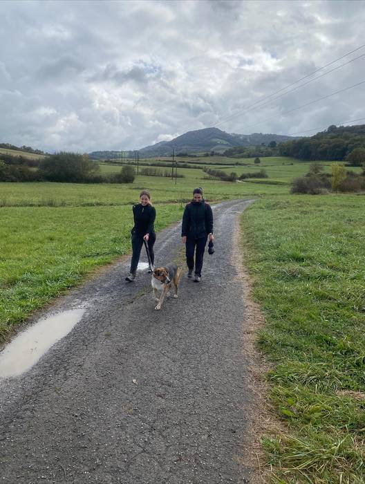 Lezamako mendi ibilaldiak 25 81 1761572558310