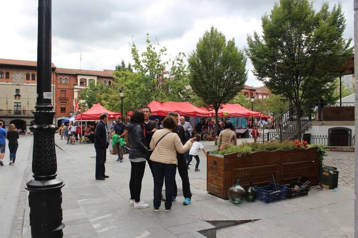 Antigualekin bete zuten Foru 14 1505128944924