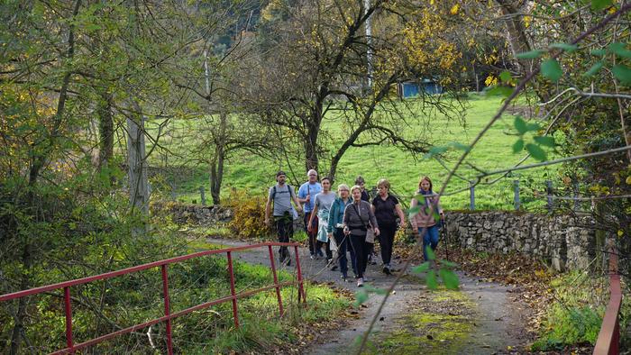 Omenaldiek bereziki hunkigar 72 1765403065750