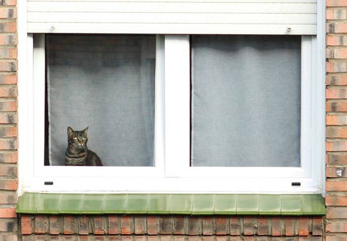 Larrazabal auzunean komunita 5 1588419156472