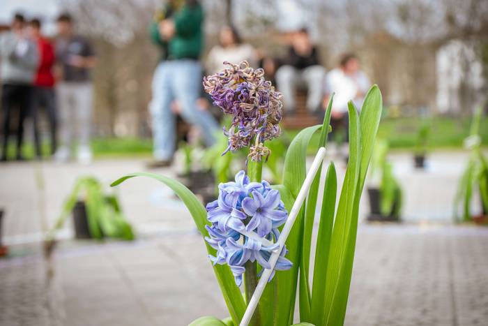 Indarkeriaren aurkako jarrer 3 1773069736590