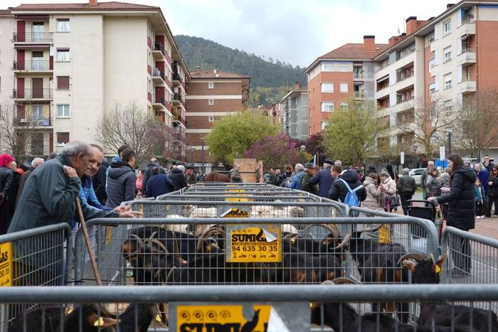 Euriak ez du zapuztu Dolumin 28 1774623144503