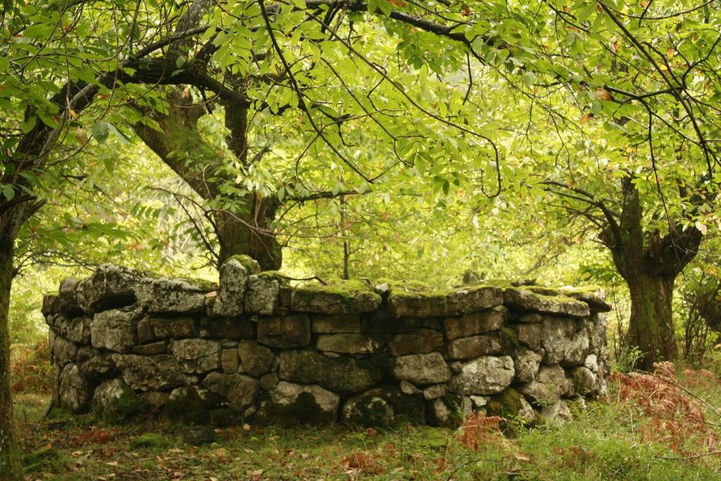Gorbeiako ondarea ezagutzeko ibilaldia egingo dute