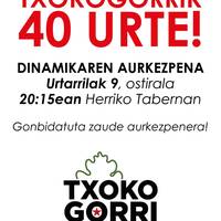 Txokogorrik 40 urte: Dinamikaren aurkezpena