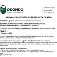 NANa eta pasaportea berritzea