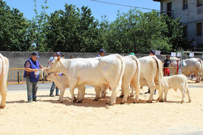 Txaroles lehiaketa batean ep 4 1497991568139