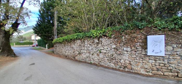 Natura eta artea, batuta 8 1763760135988