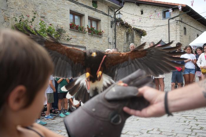 Falkoneria ikuskizuna antola 30 1752934096687