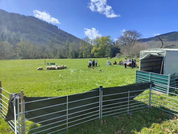 Baserri azoka ospatu dute Ok 8 1679833049678