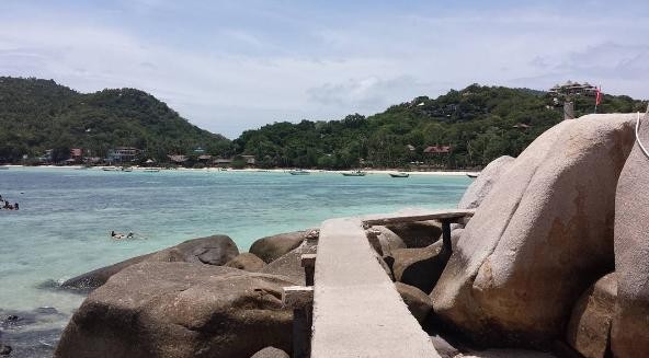 Paradisura bidea (Koh Tao)