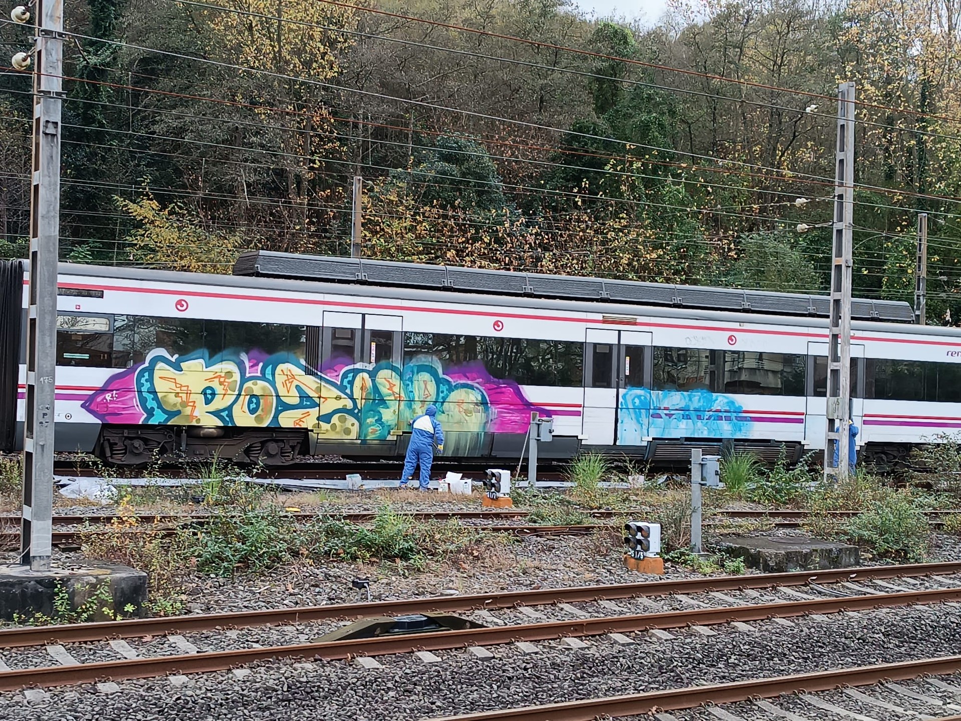 Renfeko trenen grafitiak garbitzen hasi dira
