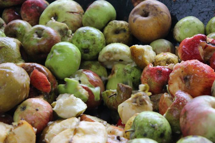 Laudioko Sagar Eguna 22 1509299705939