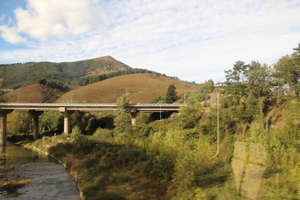 Igandean bertako espezieak landatzeko jardunaldia egingo da Arrankudiaga-Zolloko Nerbioi ibaiertzean 