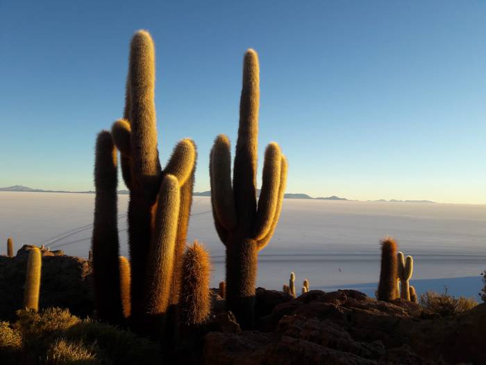 Uyuni (Bolivia)