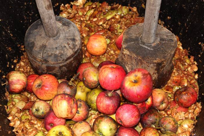 Laudioko Sagar Eguna 3 1509299477468