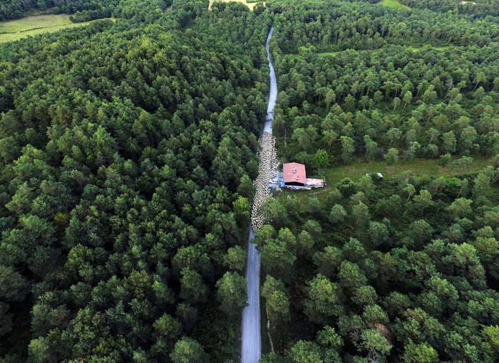 Gorobelen bukatu dituzte gra 1 1503657436593