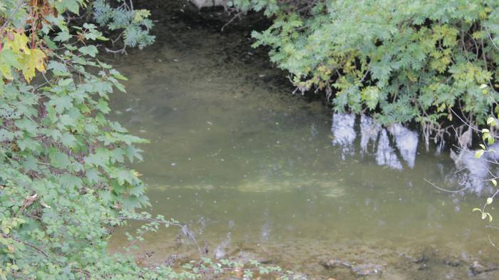 Nerbioi Ibaian hildako arrai 4 1505476283942