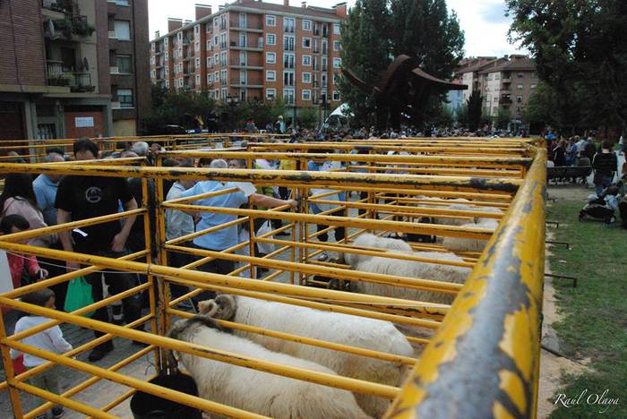 Eguraldia lagun, arrakastats 20 1505716703551