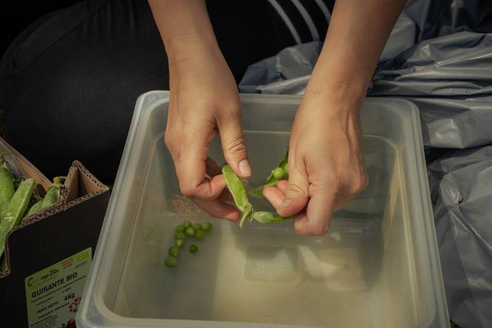 Basa zikloak lokatzetik Fakt 1 1777364164992