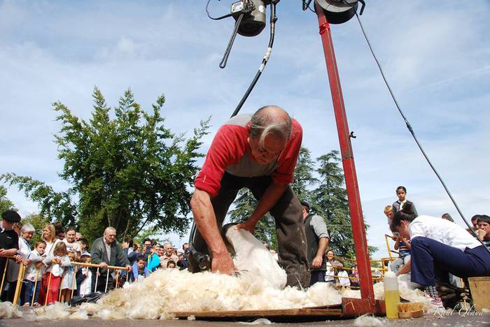 Eguraldia lagun, arrakastats 7 1505716626432